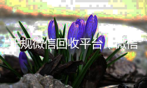 正规微信回收24小时靠谱收微信平台平台（微信回收正规官网）